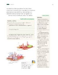 Paco el chato segundo grado de primaria ejercicios interactivos libros en espanol tengo miedo libro de texto secundaria lectura. Tema 3 La Importancia Del Cuidado Del Ambiente Ayuda Para Tu Tarea De Ciencias Naturales Sep Primaria Tercero Respuestas Y Explicaciones
