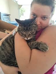 Lost cat Buddy near Eagle and Chinden