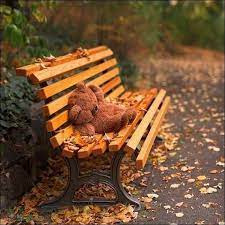 Teddybear64 Photo Have A Wonderful Autumn In 2021 Teddy Bear Wallpaper Bear Wallpaper Teddy Bear Pictures