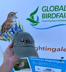 Image result for Satyrium buchananii