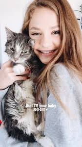 Remembering My Beloved Cat Napoleon: A Journey of Pet Loss and Grief