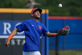 Mets' Jose Siri's hoping to provide a lightning spark — and improved  hitting too - nj.com
