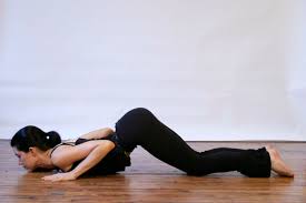 Read reviews from world's largest community for readers. How To Do Knees Chest And Chin Pose Ashtanga Namaskara In Yoga