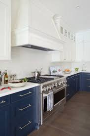 While this color is a bit unexpected in the kitchen, it's not so daring that it feels. 30 Trendy Dark Kitchen Cabinet Ideas Forever Builders San Diego
