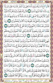 سورة البقرة صفحة رقم 11 Quran Verses Holy Quran Verses