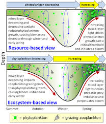 Its closest relative is tamil: Algal Bloom Wikipedia