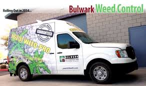 Our professional scorpion sealing company has provided security to homes and businesses throughout arizona for over 15 years. Weed Control Has Never Been Easier Bulwark Exterminating