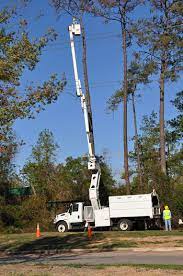 Posted on april 29, 2013 by tree service wauwatosa wi. Tree Removal Wauwatosa Wi Tree Service Trimming Wauwatosa Tree Care