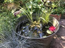 Whether you are considering different water fountain ideas either way, they offer a chance to include water plants as well as a water garden or pot fountain. How To Make A Micro Wildlife Pond In A Pot Jack Wallington Garden Design Ltd
