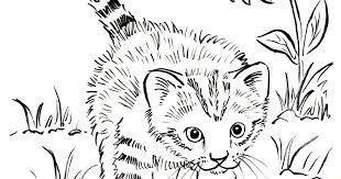 We did not find results for: Kitten Coloring Page Art Starts