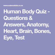 Zoe samuel 6 min quiz sewing is one of those skills that is deemed to be very. Pin On Gfs Quiz And Fun Night