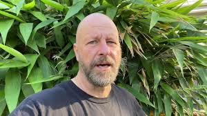 Come along to Salt Online