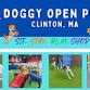 Doggy Open Play