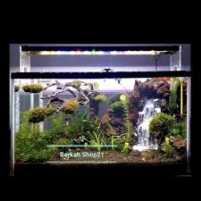 Beli aneka produk di toko setiawan aquarium secara online sekarang. Jual Lampu Hpl Diy Aquascape Aquarium 60 80 Cm 36 Watt Aneka Hobby Jakarta Barat Eugenias Shop Tokopedia