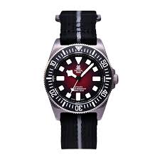 Image result for diving watch