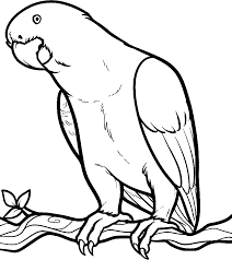 Mais desenhos de pássaro para colorir. Desenho 23 De Papagaios Para Colorir