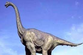 岩石 钢 413 结草贵妇 砂土蓑衣: ä¸–ç•Œä¸Šæœ€å¤§æœ€é•¿çš„æé¾™ åœ°éœ‡é¾™èµ°è·¯åƒåœ°éœ‡ å¥‡é—»å¼‚äº‹ åŽ†å²ç™¾ç§'ç½'