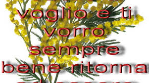Gli Auguri Di Michele Pappacoda Per La Festa Della Donna 8marzo 2010 Guardate Video Positanonews