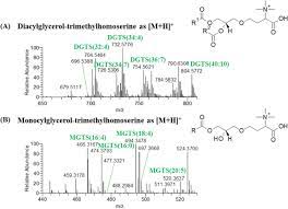 Buku ini adalah salah satu hasil karya syaikh shiddiq hasan khaan rahimahullah (wafat: Polar Lipidomic Profile Shows Chlorococcum Amblystomatis As A Promising Source Of Value Added Lipids Scientific Reports