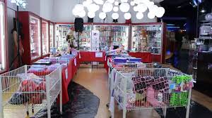 Image result for Festival Erótico de Alicante (FEDA 2016) qpb