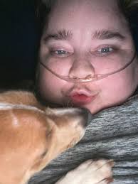 I am looking for a Japanese chin close to Wisconsin . If anyone knows  please let me know.