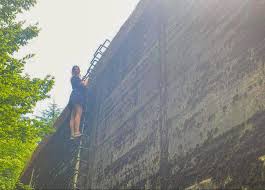 The place is very interesting but a bit eclectic and need some loving tender care and slightly better organization. Mamerki Zachowane Bunkry Gdzie W Polsce Na Weekend