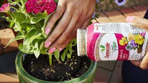 Osmocote is renowned as an outstanding, easy to apply fertilizer. Gardening Ideas For Beginners Cnn