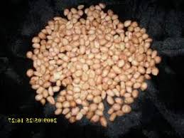 Popularity of tanah in united states. Kacang Tanah Arachis Hypogaea L English Peanut Call 6281326220589 Products Indonesia Kacang Tanah Arachis Hypogaea L English Peanut Call 6281326220589 Supplier