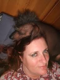 His head floof cracks me up... 🤣💜