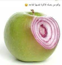 وكم من بصله فاكره نفسها تفاحه هههههههه funny comments arabic jokes feeling positive