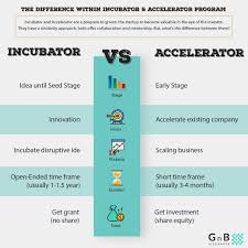 The Character Differences Between Startup Incubator And Accelerator Incubator Startup Startupinfographic Infographic