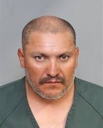 Southern California man charged for allegedly luring, kidnapping and  beating cats to death