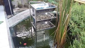 Cara Membuat Filter Kolam Ikan Sederhana Dan Minimalis Satria Baja Hitam Kolam Ikan Kolam Minimalis