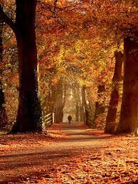 A Stroll in the Park