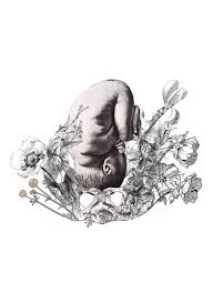 Pin On Botanical Birth Art