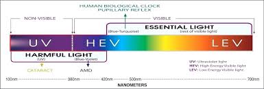 Delightful Light Spectrum And The Electromagnetic Biology