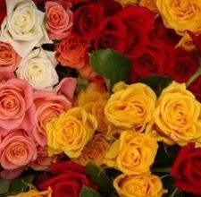 I answer your question by showing you what happens. Romantic Gifts For Homecoming How To Preserve Flowers Resin Flowers Flowers
