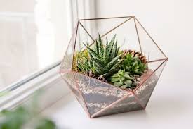 Ver más ideas sobre decoración cactus, cactus, disenos de unas. 30 Ideas Para Decorar Con Suculentas Consejos Para Que Decores Tus Espacios Con Suculentas Decoracion