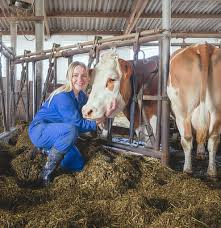 Image result for tbn:0PJB32OL7JwfOM::farm4.static.flickr.com/3324/3329876139_f2d551139f.jpg