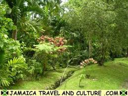 Castleton Botanical Gardens