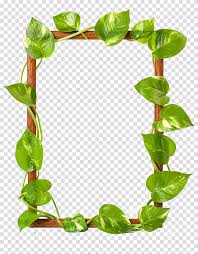 As usual, these are royalty free images. Library Of Picture Leaf Border Png Files Clipart Art 2019