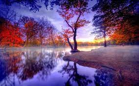 Find your perfect hd wallpaper for your phone, desktop, website or more! Doma On Twitter Landscape Wallpaper Autumn Landscape Hd Nature Wallpapers