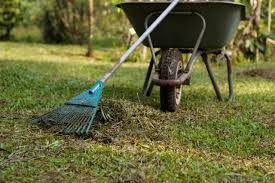 Garden Clean Up | Garden Clean Up Services - Mitchs Mowing