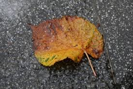 Meteo En Poitou Charentes Pluie Temperatures En Baisse Et Heure D Hiver