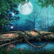 Material:vinyl,light weight, easy to storage and carry. Enchanted Forest Backdrop Wonderland Princess Secret Garden Night Forest Backyard Fairy Tale Woods Cinderella Old Tree Butterfly Mushroom Moon Printed Fabric Background F0572 8 By 8 Amazon In Electronics