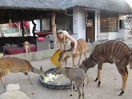 A Day In The Life Of A Wildlife Orphanage Volunteer Southafrica Volunteer Voluntour Animal Conservation Animals Wildlife Nature Africa Teachingabroad