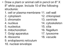 Check spelling or type a new query. Analogies For Animal Cells