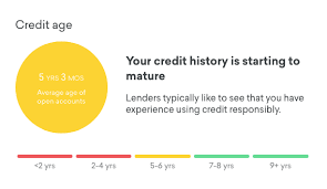 Demystifying Crazy Confusing Credit Scores And How I Manage