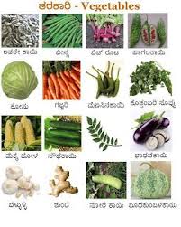 Learn Kannada Worksheets ತರಕ ರ ಗಳ Vegetables Name Of Vegetables Vegetables English Language Teaching