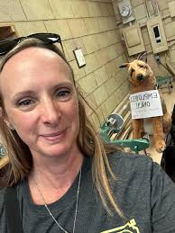 What did Fabric Outlet in Springfield have?